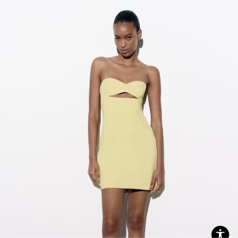 Zara Strapless Dress